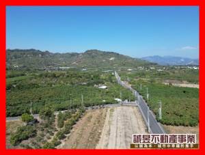 誠昱/玉井玄天大面寬臨路農地