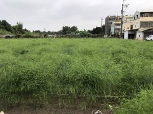 誠昱/安定農會旁都內農地
